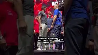 Anthony Joshua and Otto Wallin face off