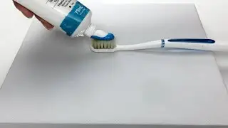 Cosmos Flowers / Toothbrush Painting / Easy acrylic painting for beginners / PaintingTutorial