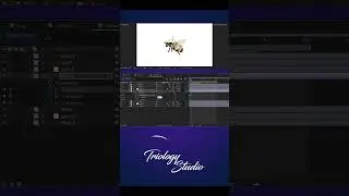 Bee Wing Animation | Animation Tutorial in After Effects | Triology Studio