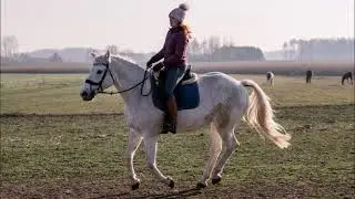 S02 E03 Oczy szukające rozumu- Sieczka