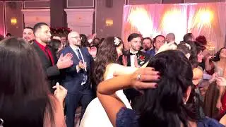 Highlights Tamer and Roxanne- Emad Batayeh