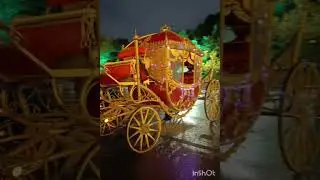 Царская карета! Питер!