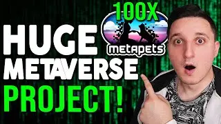 METAPETS COIN PRICE PUMP ! METAVERSE PROJECT ! SHOULD YOU BUY !? 100X POTENTIAL !?
