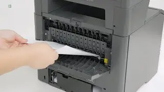 MS531/MS631/MS632/MS639/M3350/MX532/MX632/XM3350—Paper jam in door B