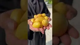 "Dhonmadhu" tropical almond