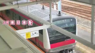 木々の目覚め×京葉線