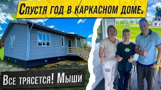 ГОД ЖИЗНИ В КАРКАСНОМ ДОМЕ  МЫШИ! БАТУТ!