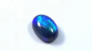 Solid Lightning Ridge Black Opal KL3881