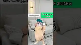 Добейте пж 50к подписчиков к 10 июля пж! 