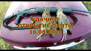 Открытие охоты 2020  Куропатки