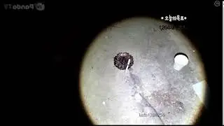 팬더TV 공포흉가 NO,1  깝9TV★ 뷰가 미친 폐 수련원 ( 장비 반응 미침)