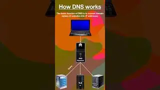 How DNS Works 