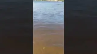 22 июля 2024 г.