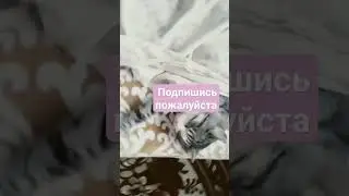 17 ноября 2023 г.