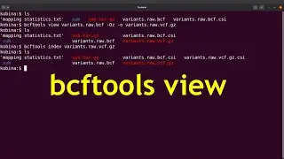variant calling statistics  with bcftools view  and zgrep commands
