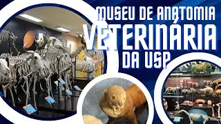 Conheça o MUSEU DE ANATOMIA VETERINÁRIA da USP