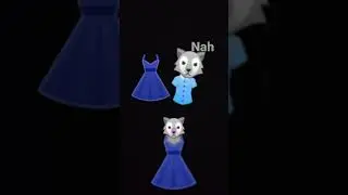 cat dance