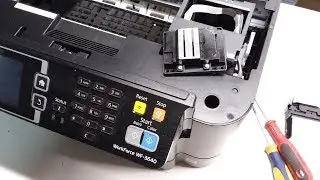 How to Remove Printhead T1881 || Epson WorkForce WF-3640, WF-3620 Printer