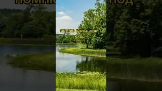 Воспоминание А.Яшин