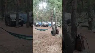 17 июля 2024 г.