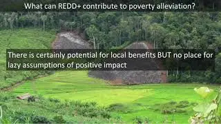 Rewarding environmental stewardship: New thinking on its role in development policy