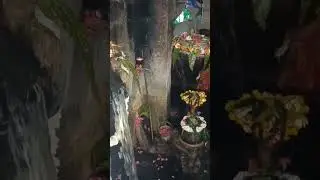 Bhole Charaniy Aaradhna | Mahadev Status | Mahadev Status Video #shorts #mahadev #viral #trending