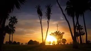 Varanus & Kameleon - Gran Canaria