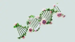 Dna natural loop 4K | HDnon copyright video