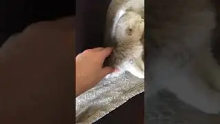Сколько можно спать?