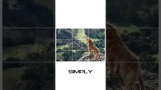 The Rule of Thirds in Photography