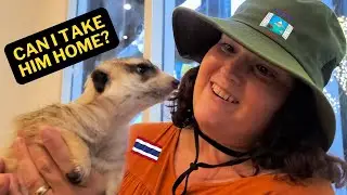 An Exotic Animal Cafe in Bangkok! | Plus a Special Guest!