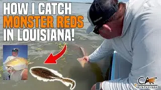 How I Catch Monster Reds In Louisiana | Flats Class YouTube