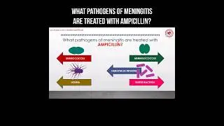 What pathogens of meningitis are treated with ampicillin? #antibiotics #ampicillin #pharmacology