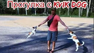 Прогулка и знакомство с новыми друзьями