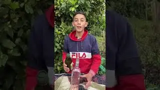 Este insecticida eliminará todos los insectos de plantas.🪴