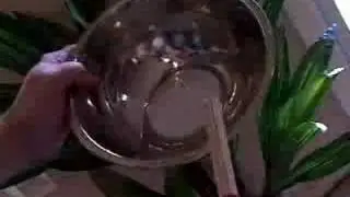 Mike Graves Drum Solo