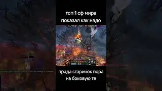 сколько нетворса? 