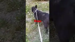 Жара аж идти не хочу