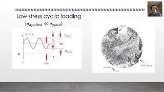 ENGB 420 - Biomechanics of Bone - Cracking & Fatigue