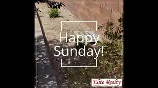 Happy Sunday!