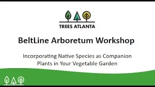 BeltLine Arboretum Workshop: Native Species as Companion Plants in your Vegetable Garden