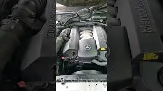 Do this and the engine will last forever 