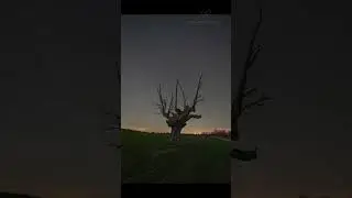 El rastro de las estrellas