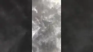 Weather
