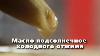 Получение подсолнечного масла холодного отжима в домашних условиях
