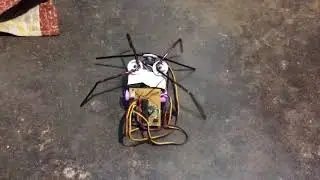 spider robot