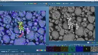 Analysing battery cathode material with the Unity BEX detector in SEM – Oxford Instruments