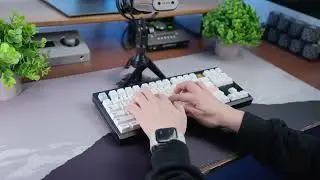 Keyboard Sound Test: Leo80 TKL with Turtle Silent Switches