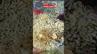Panen jakaba super