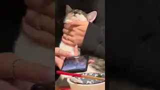 看她享受的！